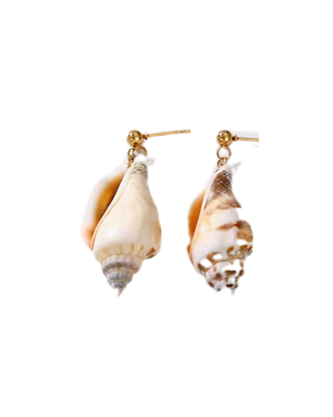 Sea Shell Earrings