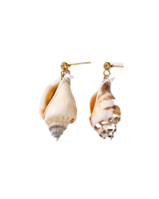 Sea Shell Earrings